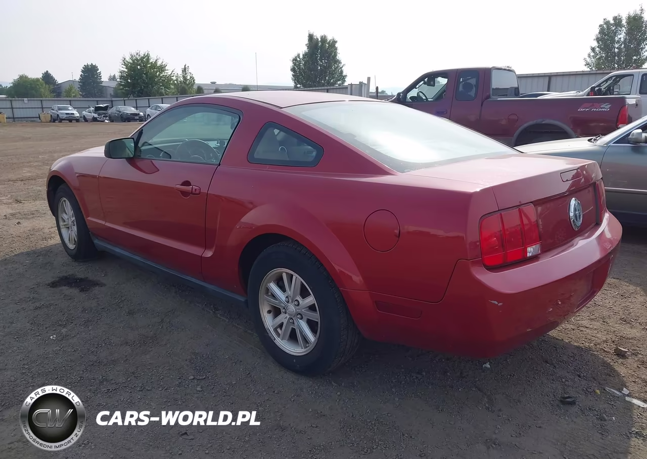 2008 Ford Mustang V6 Deluxe-V6 Premium VIN:1ZVHT80N585169625 - 3