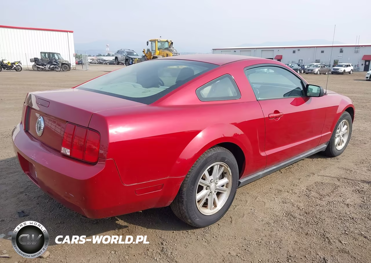 2008 Ford Mustang V6 Deluxe-V6 Premium VIN:1ZVHT80N585169625 - 4