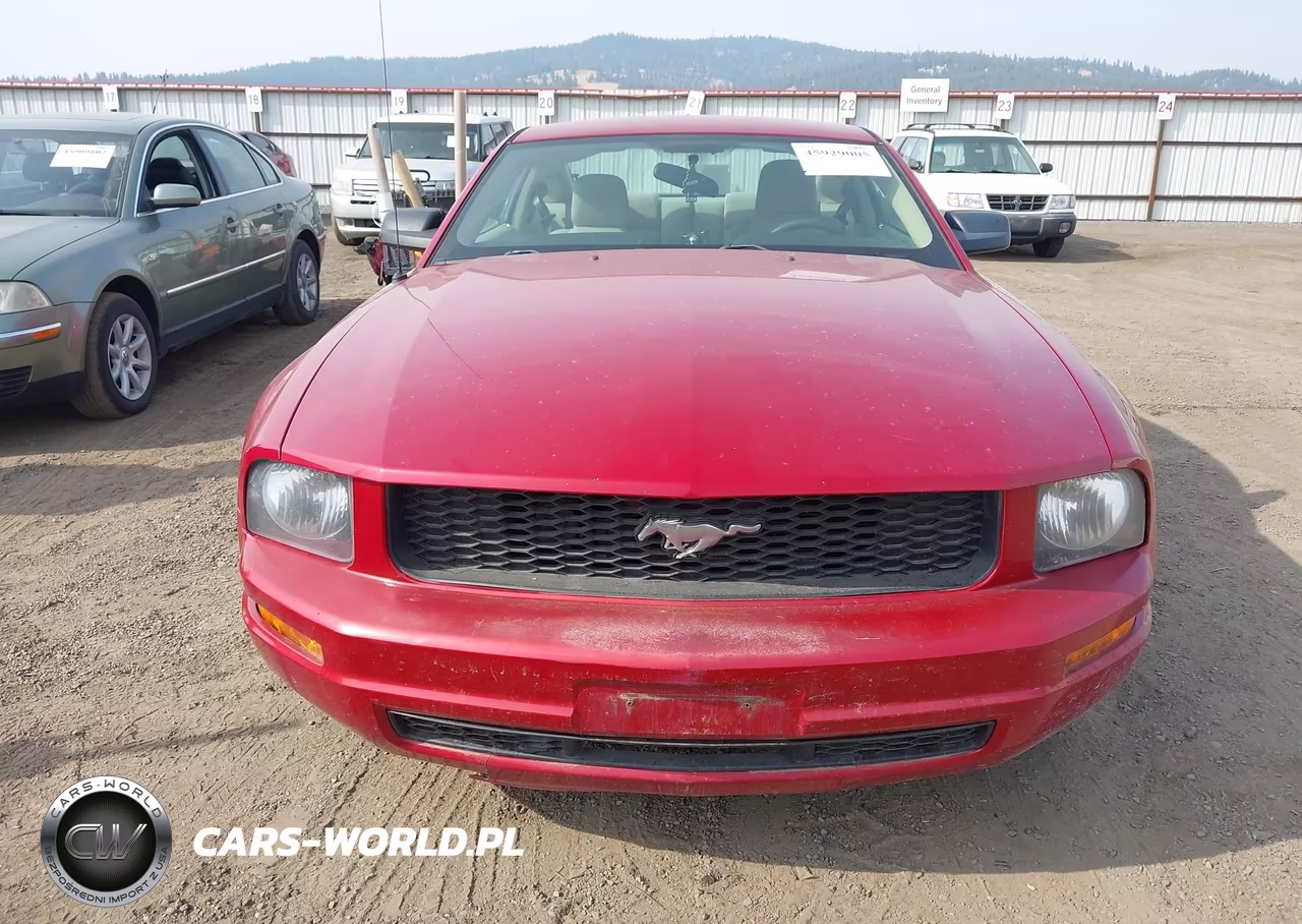 2008 Ford Mustang V6 Deluxe-V6 Premium VIN:1ZVHT80N585169625 - 6