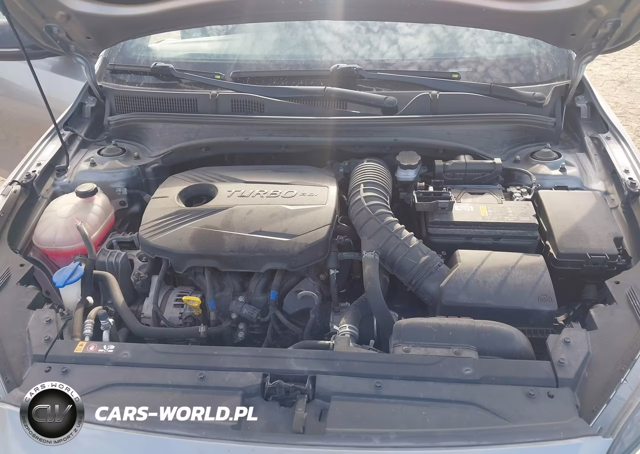 2023 Kia Forte Gt VIN:3KPF44AC3PE513646 - 10