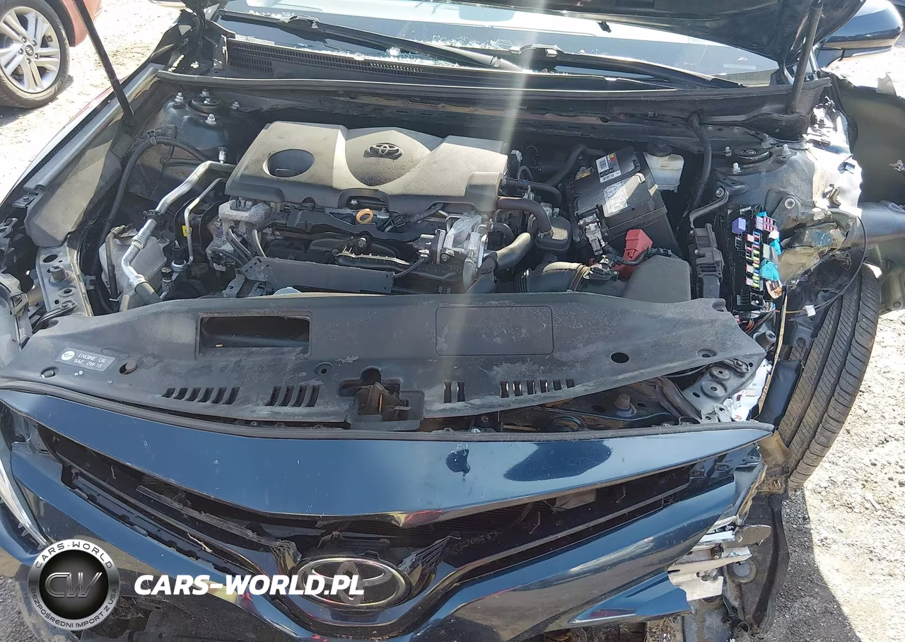 2019 Toyota Camry Xle VIN:4T1B11HK1KU794077 - 10