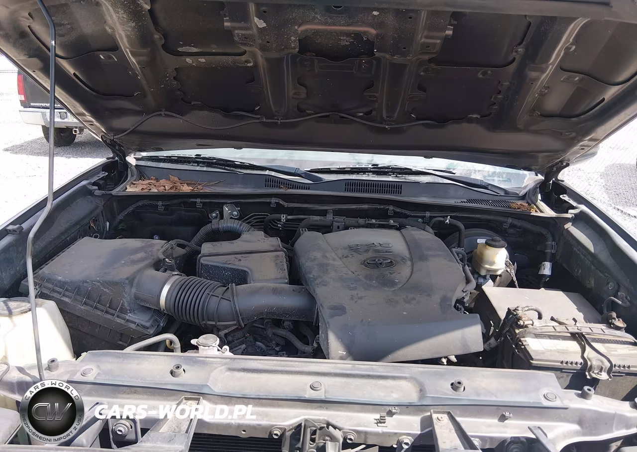 2016 Toyota Tacoma Sr5 V6 VIN:5TFRZ5CN0GX008862 - 10