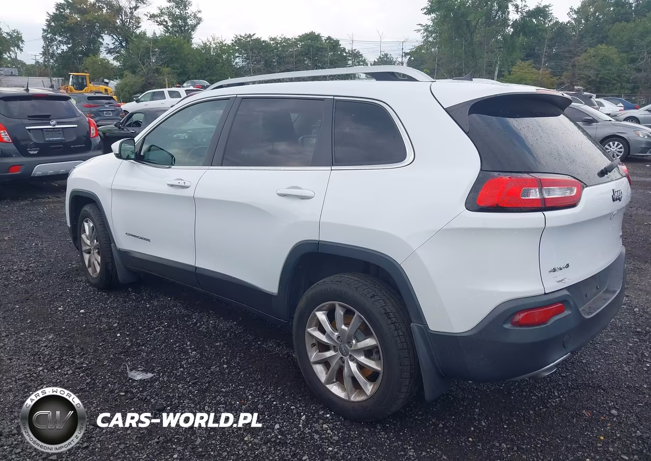 2014 Jeep Cherokee Limited VIN:1C4PJMDS7EW167765 - 3