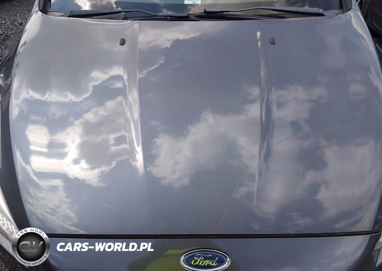 2015 Ford Focus Se VIN:1FADP3K2XFL212883 - 10