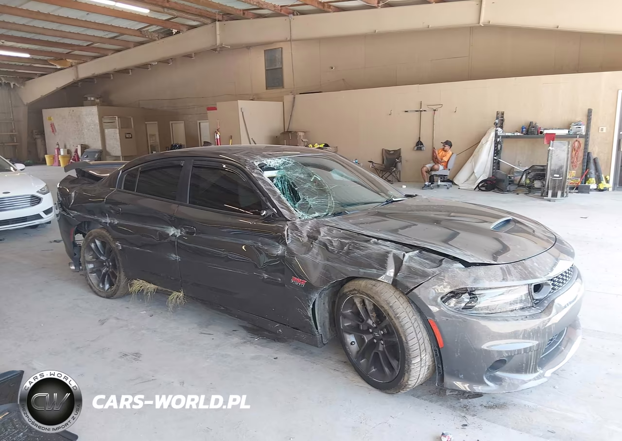 2020 Dodge Charger Scat Pack Rwd VIN:2C3CDXGJ4LH197199 - 14