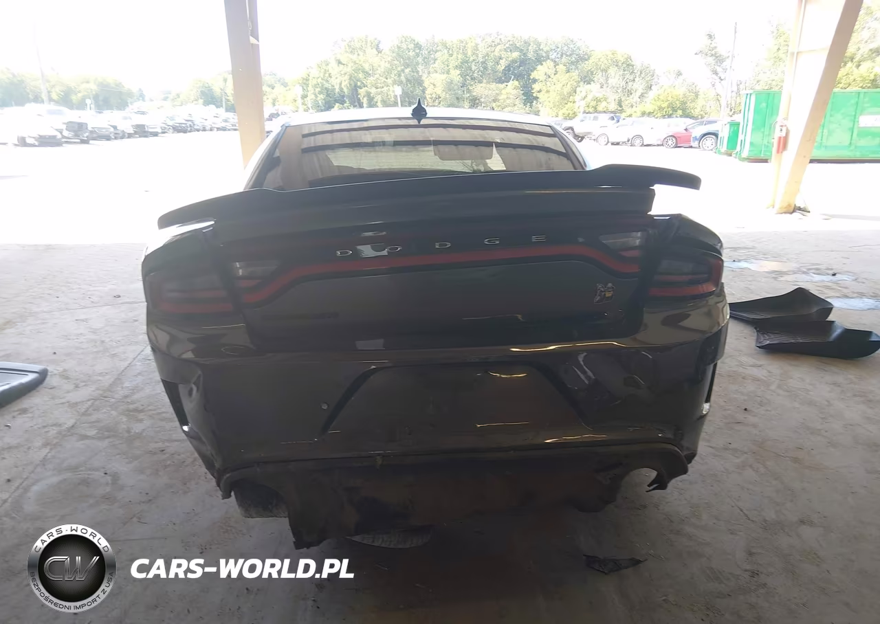 2020 Dodge Charger Scat Pack Rwd VIN:2C3CDXGJ4LH197199 - 17