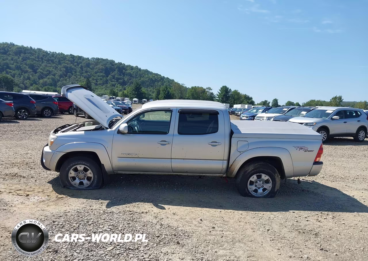 2006 Toyota Tacoma Base V6 VIN:5TELU42N76Z200352 - 13