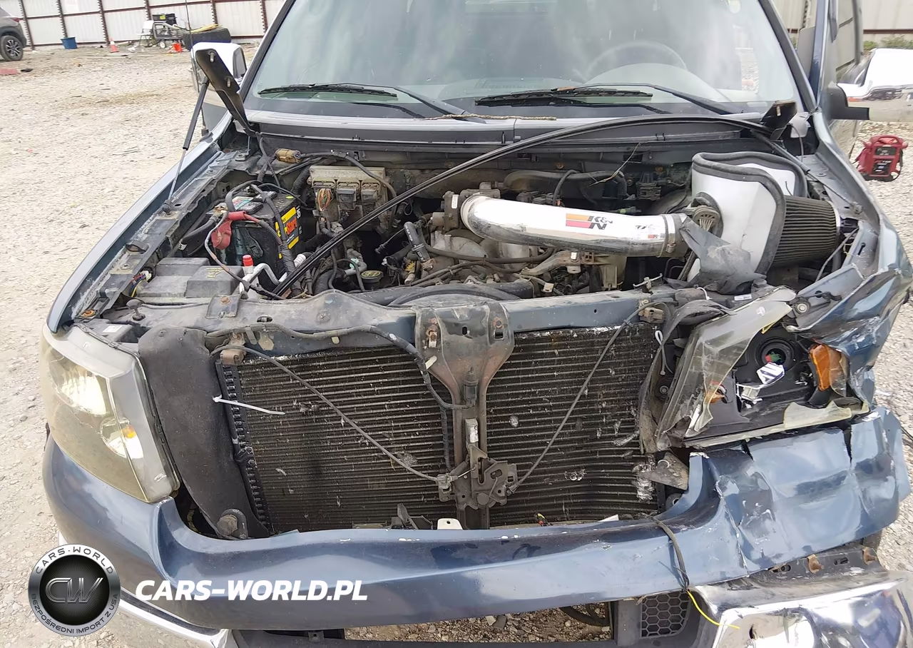 2004 Ford F-150 Xlt VIN:1FTRW12W84KC33213 - 10