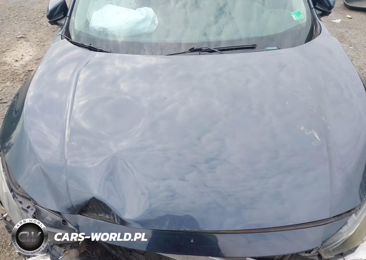 2019 Honda Civic Ex-L VIN:19XFC1F79KE014890 - 10