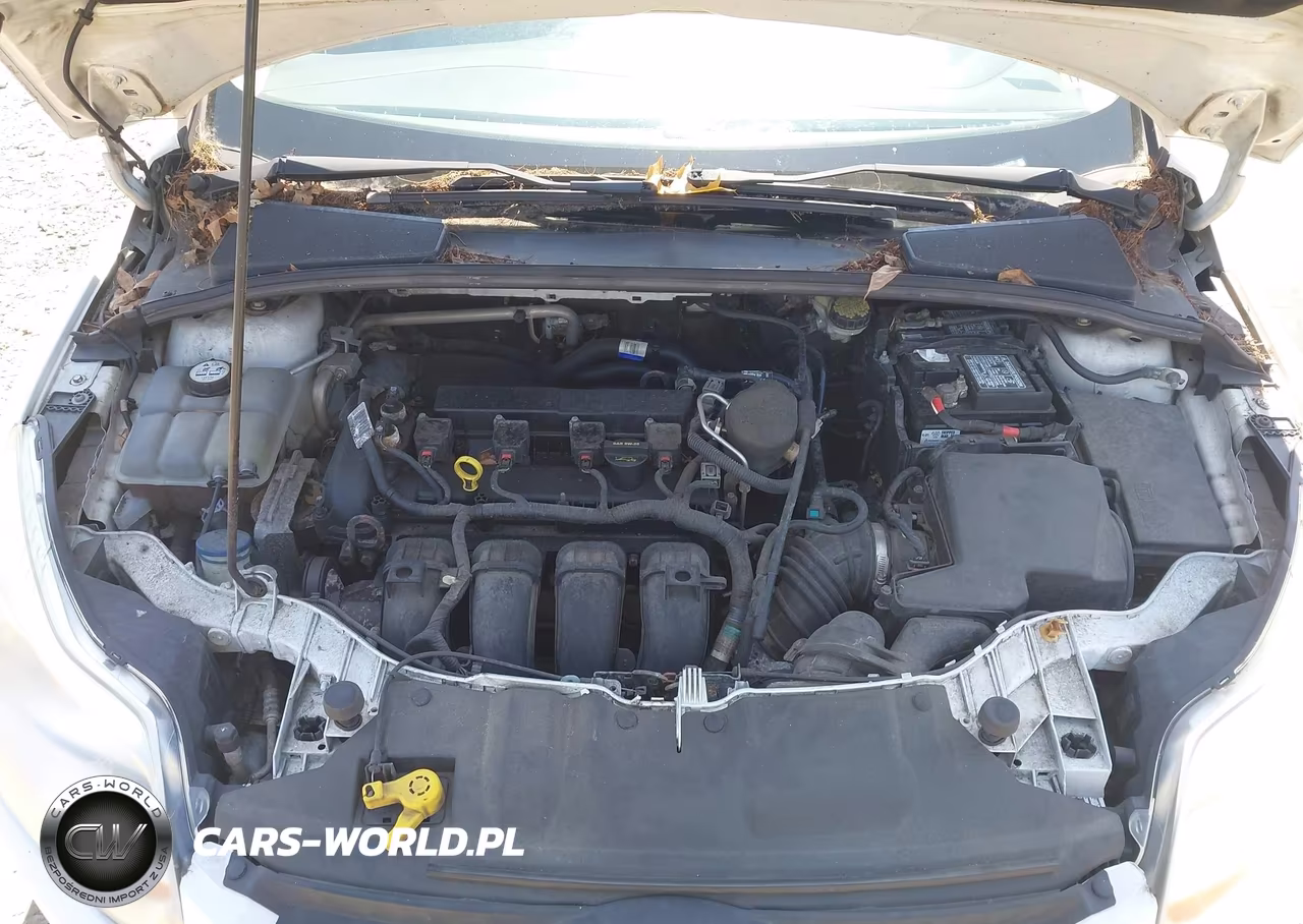 2013 Ford Focus Se VIN:1FADP3F27DL118810 - 10
