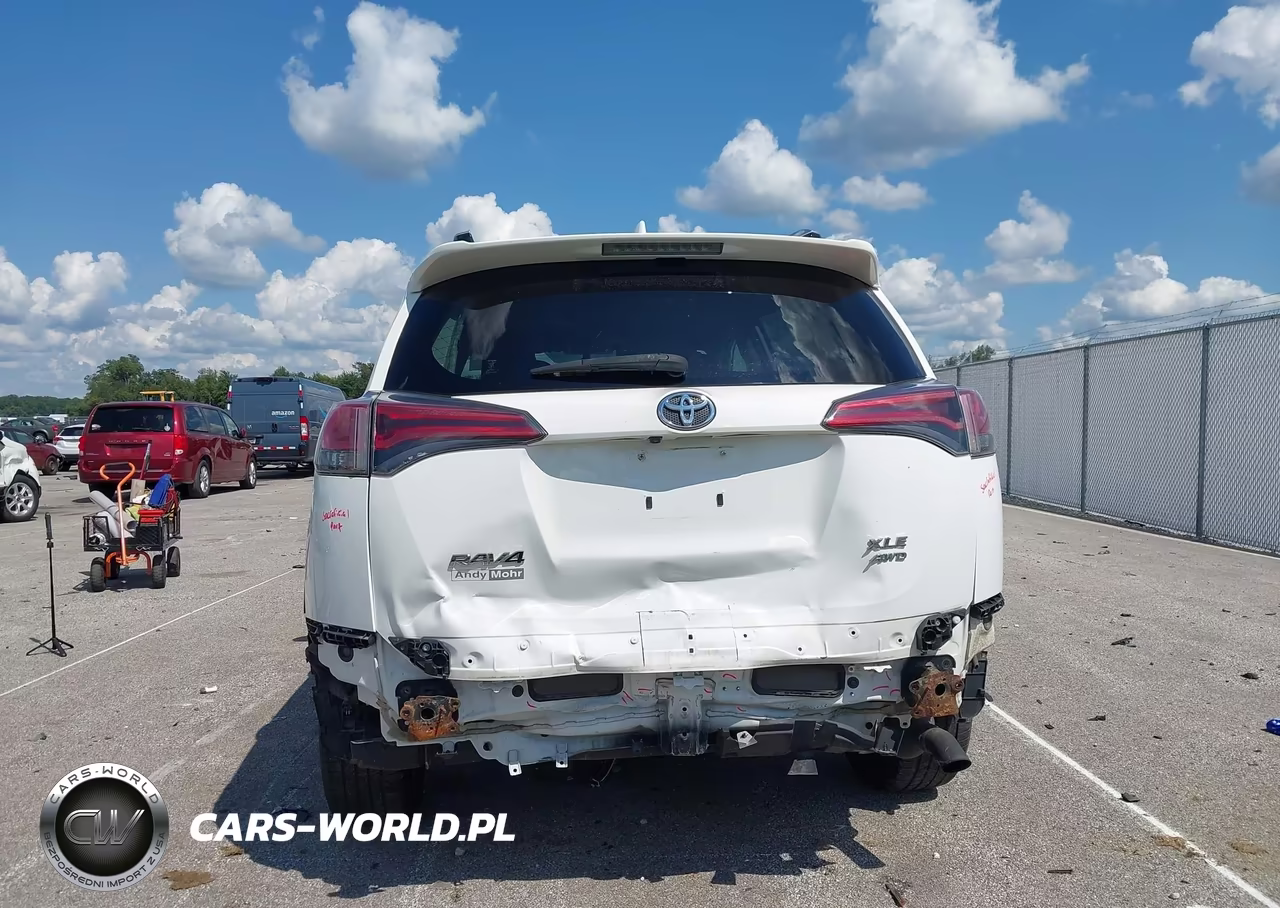 2016 Toyota Rav4 Xle VIN:JTMRFREV6GD196186 - 17