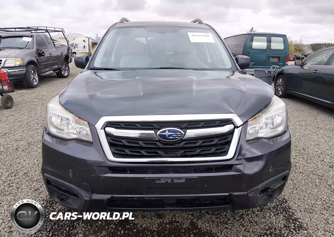 2017 Subaru Forester 2.5I Premium VIN:JF2SJAEC5HH408605 - 13