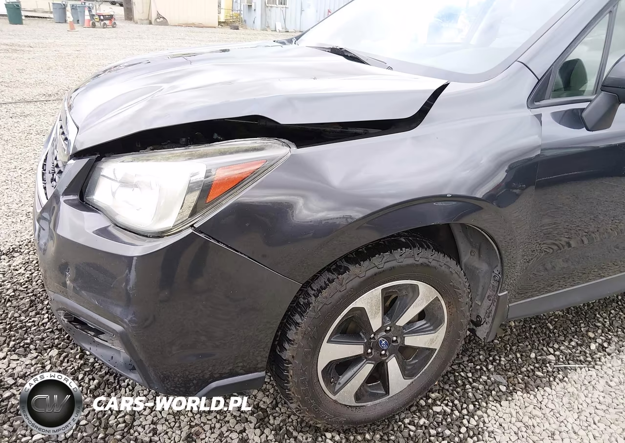 2017 Subaru Forester 2.5I Premium VIN:JF2SJAEC5HH408605 - 18