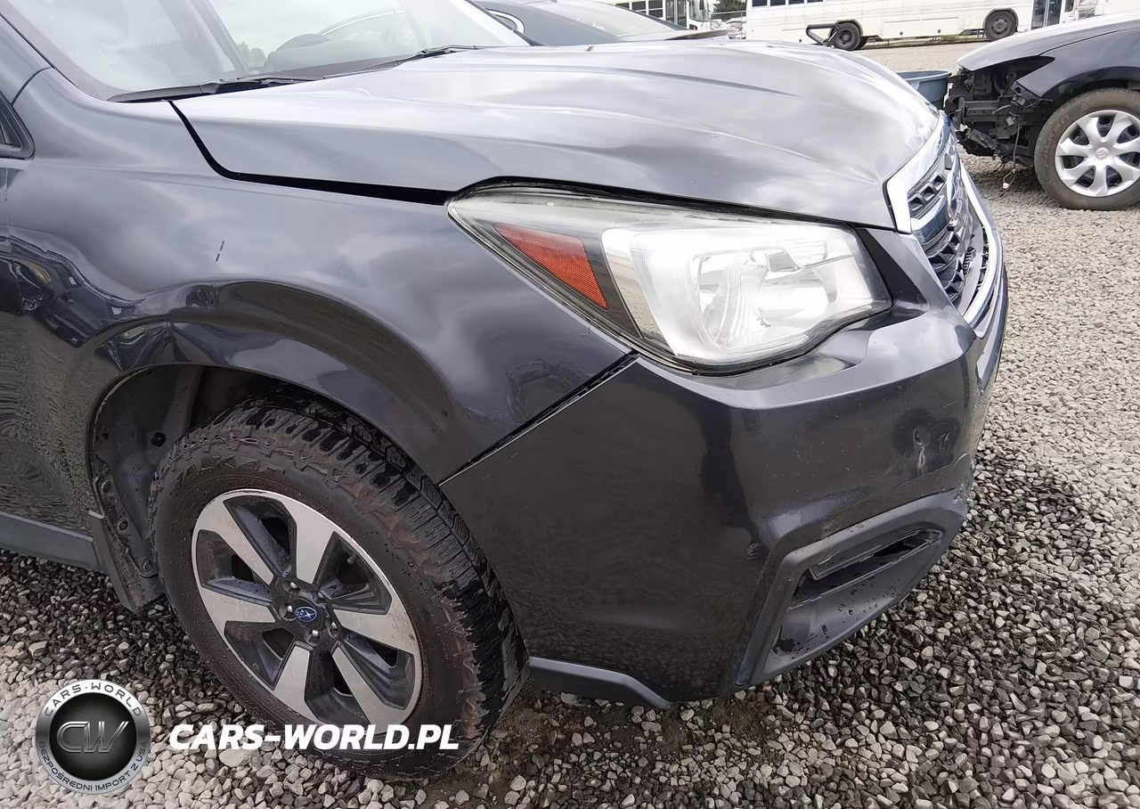 2017 Subaru Forester 2.5I Premium VIN:JF2SJAEC5HH408605 - 19