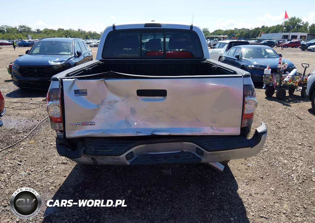 2010 Toyota Tacoma Base V6 VIN:5TELU4EN7AZ689548 - 6
