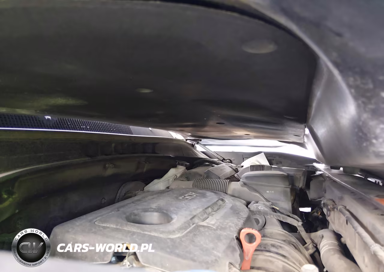 2019 Kia Sorento 2.4L L VIN:5XYPG4A35KG578506 - 10