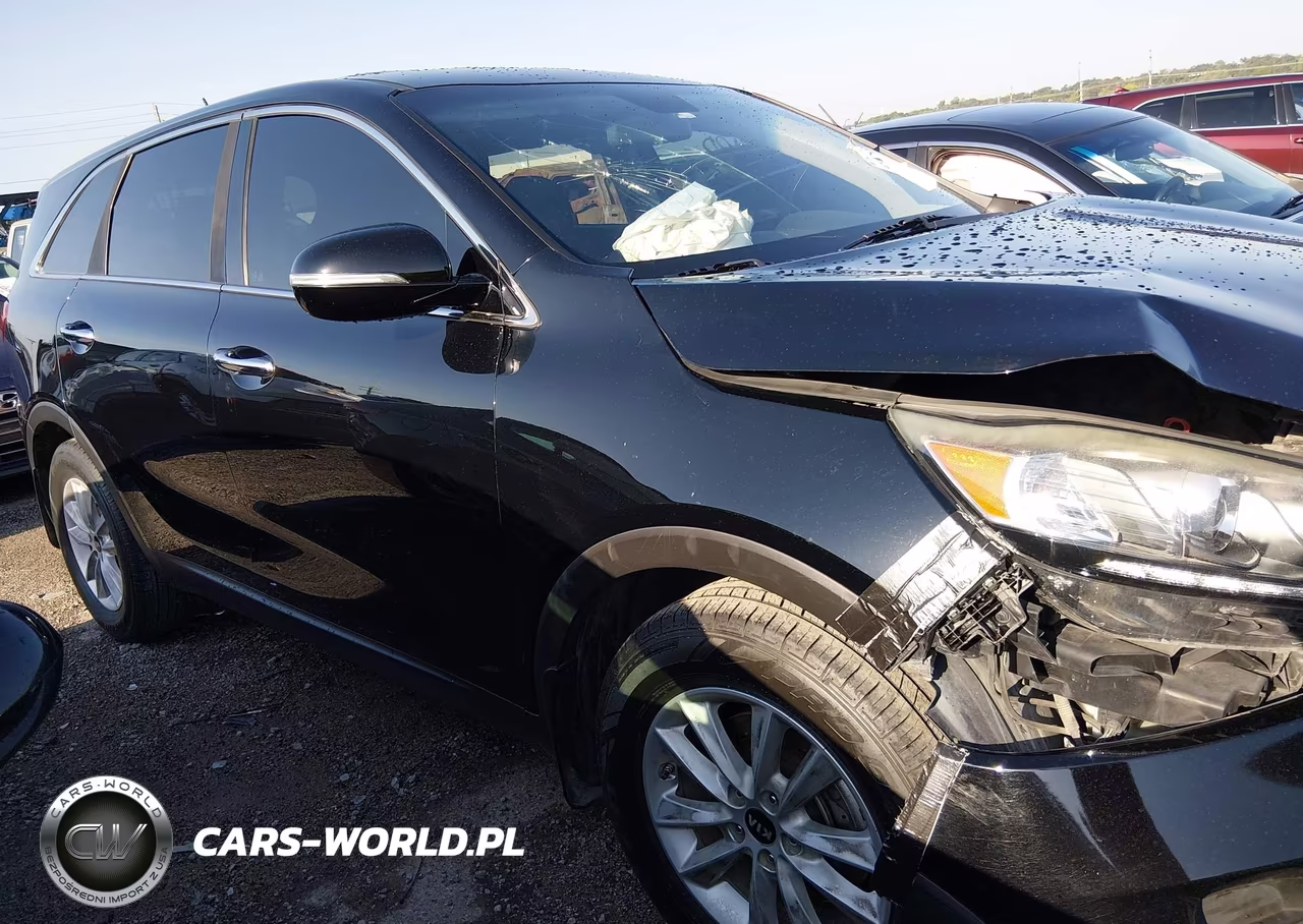 2019 Kia Sorento 2.4L L VIN:5XYPG4A35KG578506 - 13