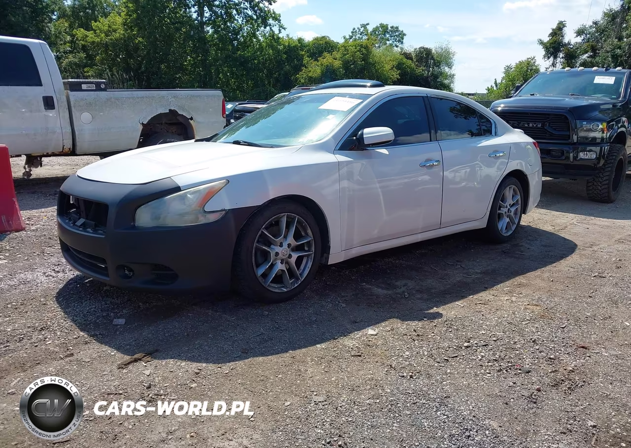 2009 Nissan Maxima 3.5 S VIN:1N4AA51E79C841596 - 2