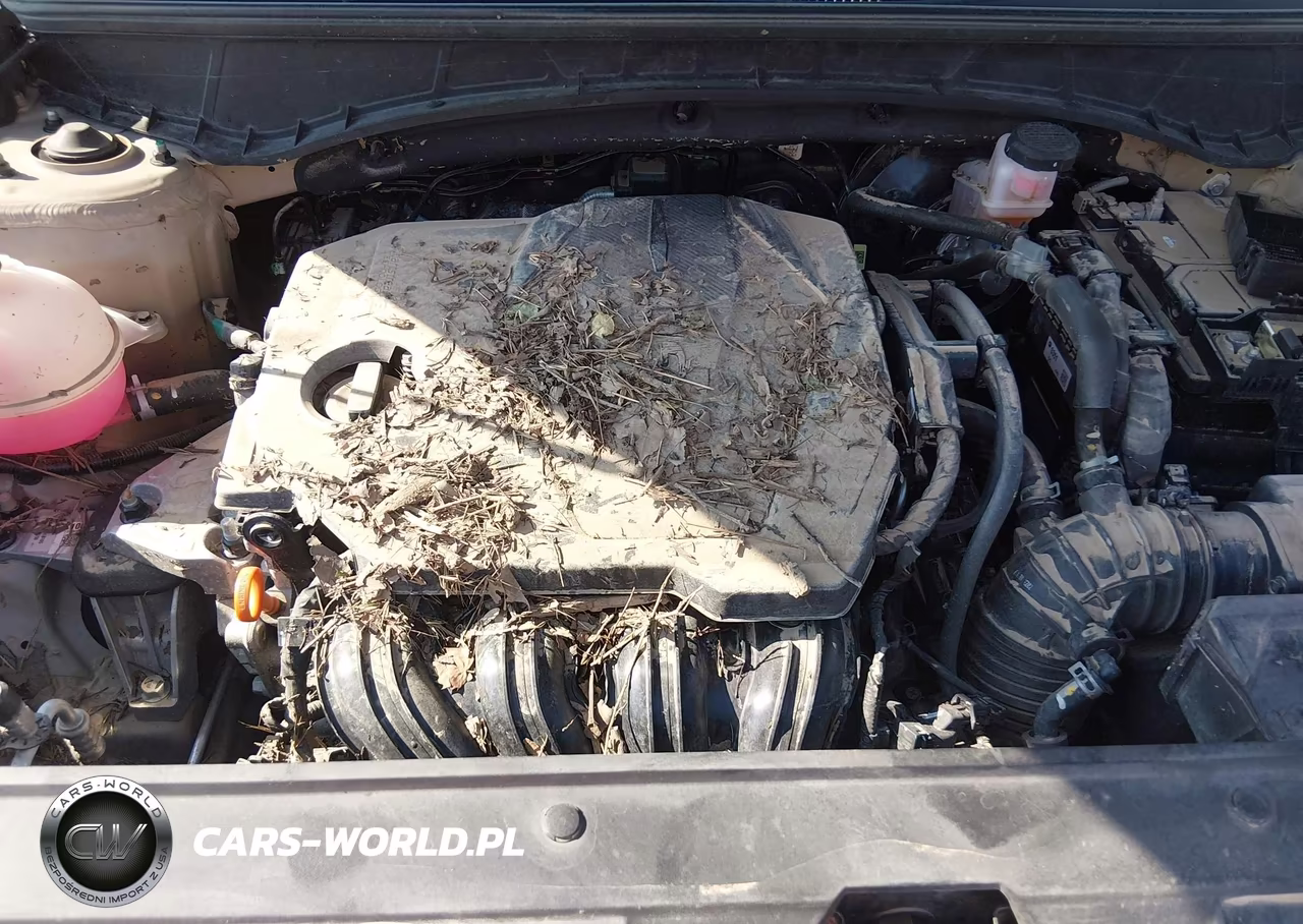 2024 Hyundai Santa Cruz Se VIN:5NTJADDEXRH108870 - 10