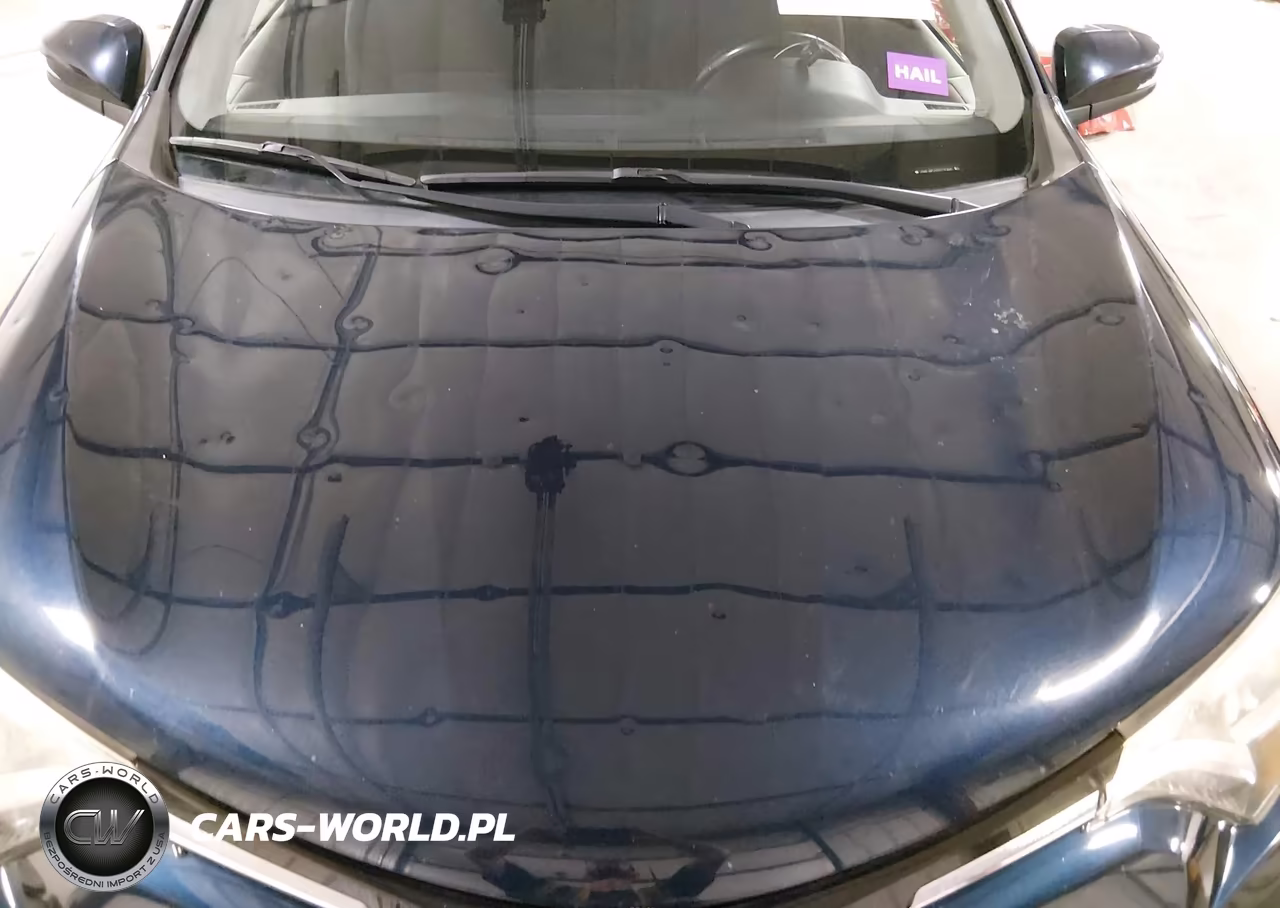 2017 Toyota Rav4 Hybrid Xle VIN:JTMRJREV7HD130441 - 20