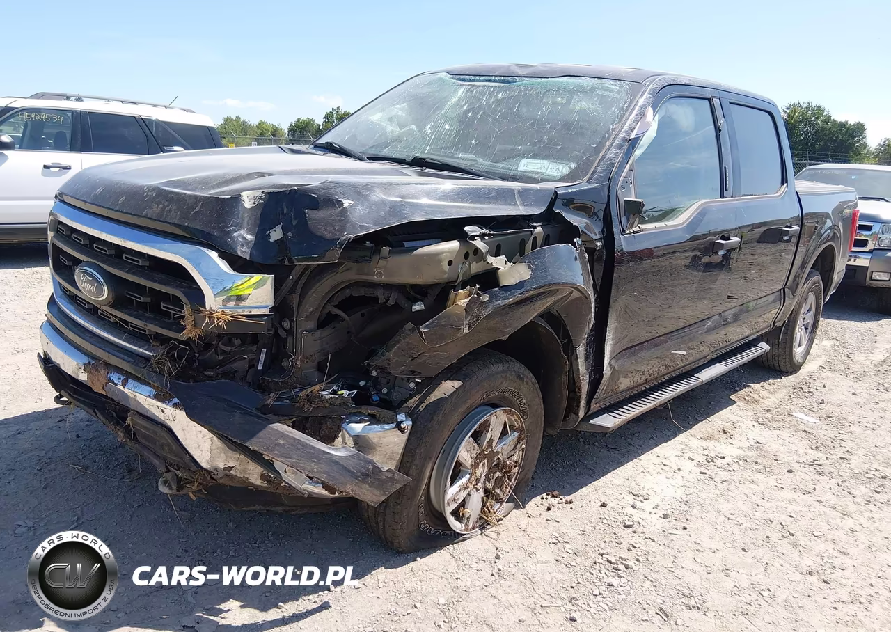 2021 Ford F-150 Xlt VIN:1FTFW1E5XMFC36161 - 2