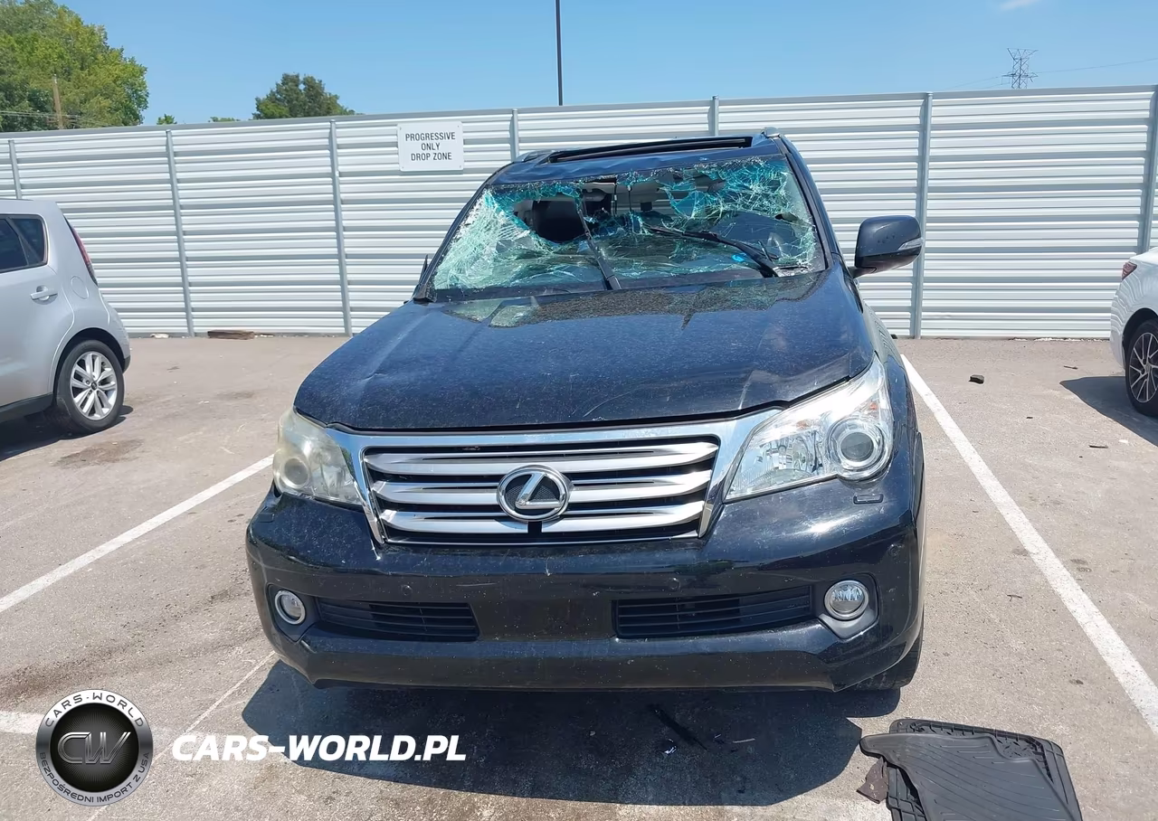 2010 Lexus Gx 460 Premium VIN:JTJJM7FXXA5016505 - 13