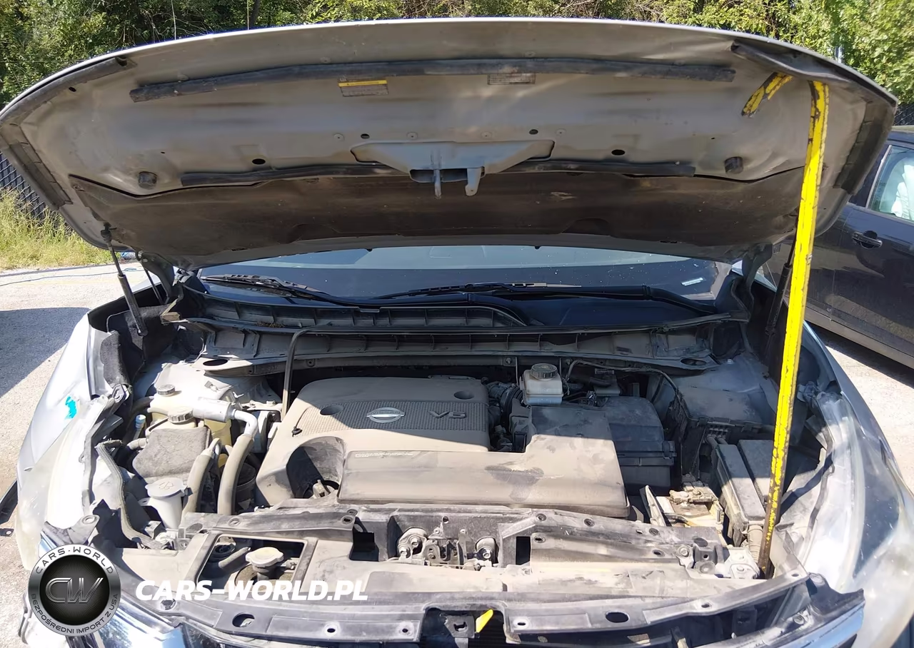 2016 Nissan Murano Platinum VIN:5N1AZ2MG1GN170664 - 10