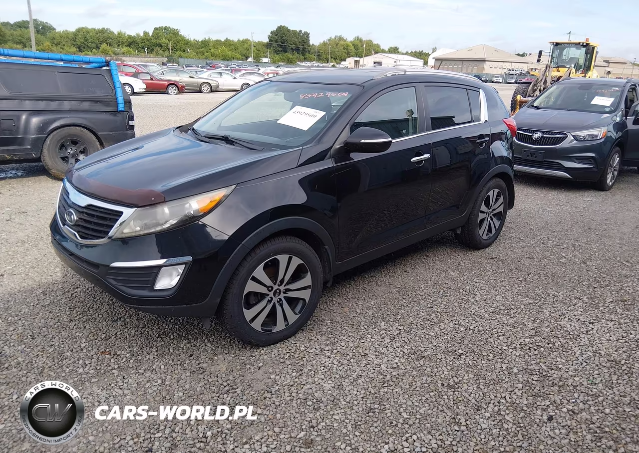 2012 Kia Sportage Ex VIN:KNDPC3A29C7217842 - 2