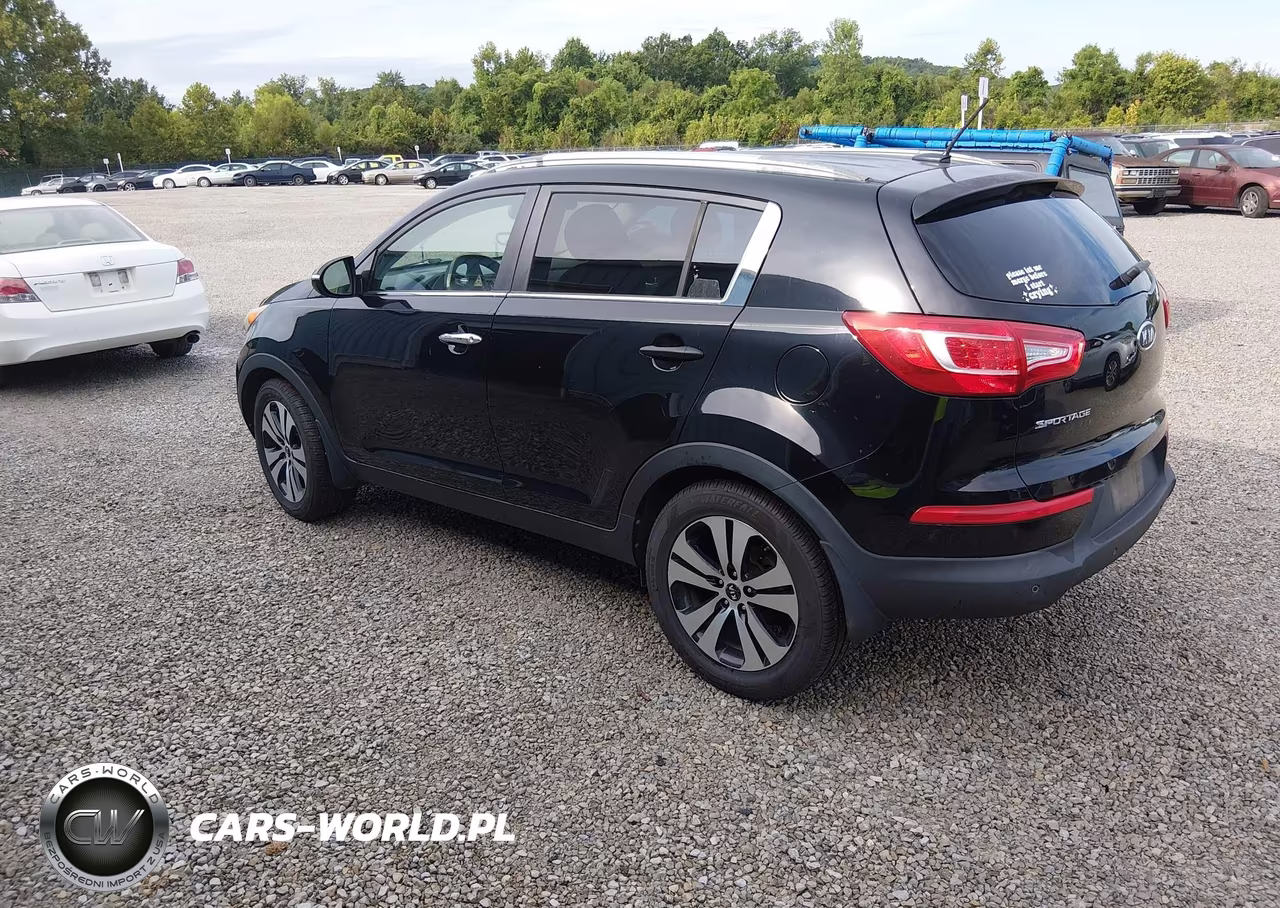 2012 Kia Sportage Ex VIN:KNDPC3A29C7217842 - 3