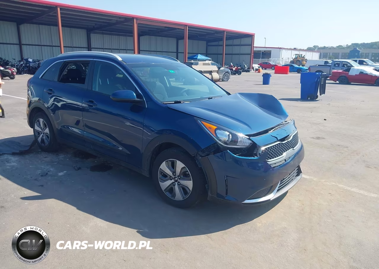2019 Kia Niro Lx VIN:KNDCB3LC8K5349265 - 1