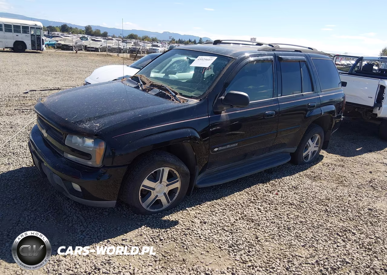2004 Chevrolet Trailblazer Lt VIN:1GNDT13SX42436934 - 2