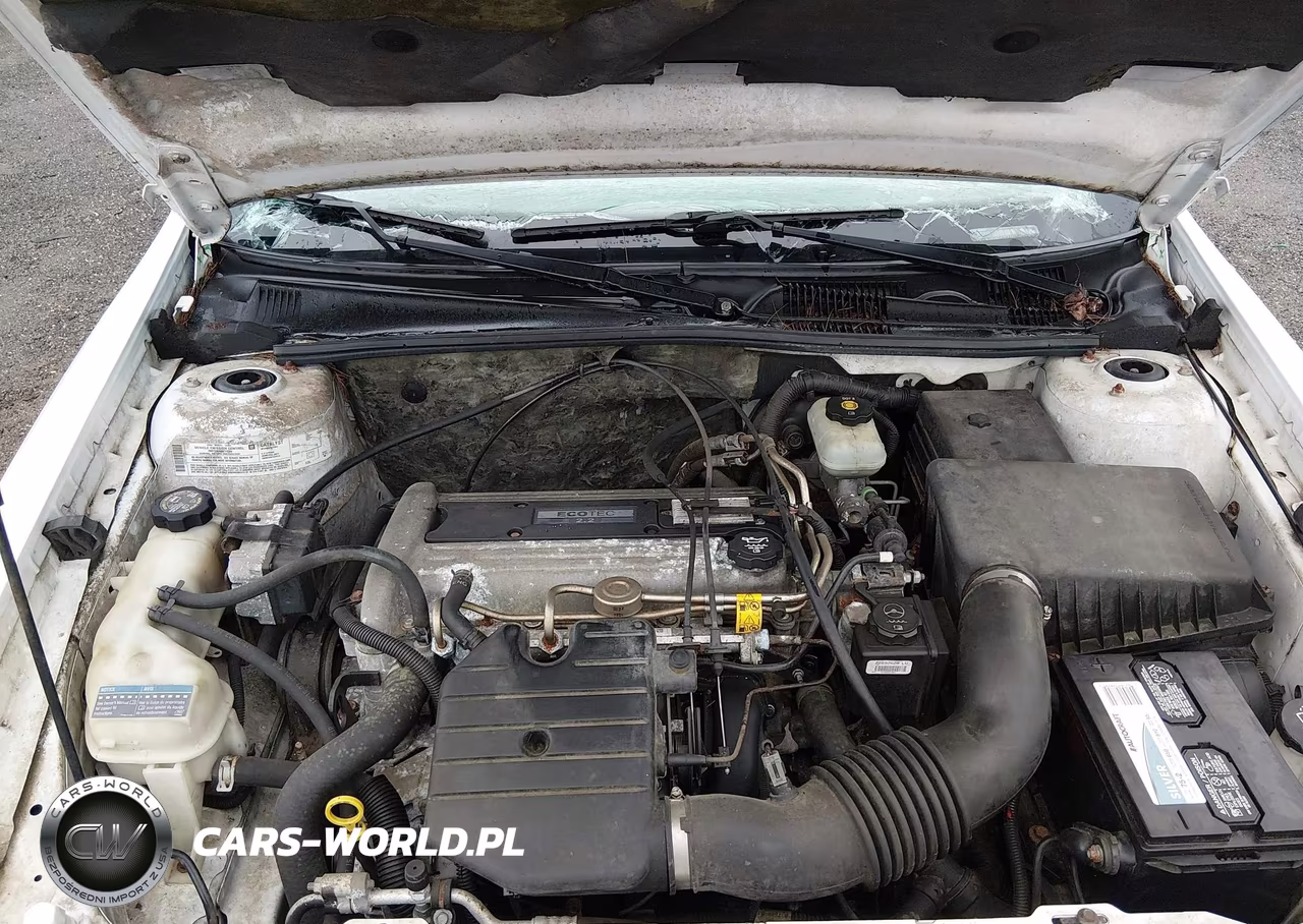 2004 Chevrolet Classic VIN:1G1ND52F84M621888 - 10