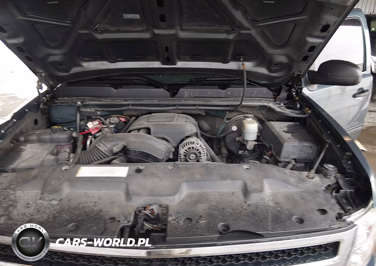 2009 Chevrolet Silverado 1500 Ls VIN:3GCEC13CX9G282455 - 10