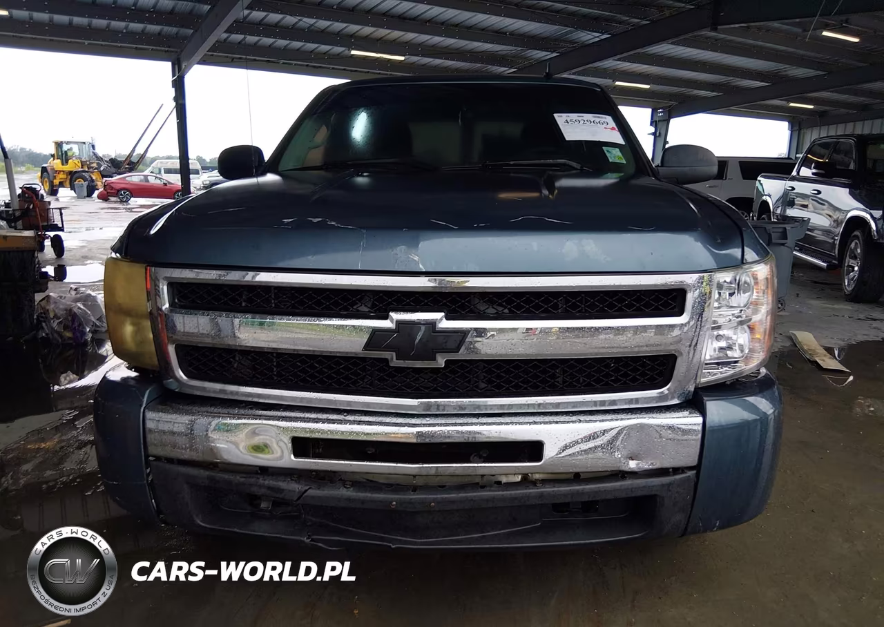2009 Chevrolet Silverado 1500 Ls VIN:3GCEC13CX9G282455 - 12