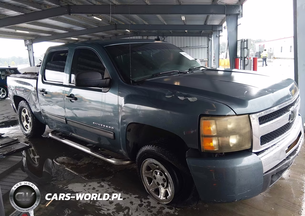 2009 Chevrolet Silverado 1500 Ls VIN:3GCEC13CX9G282455 - 13