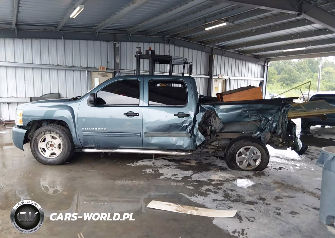 2009 Chevrolet Silverado 1500 Ls VIN:3GCEC13CX9G282455 - 14