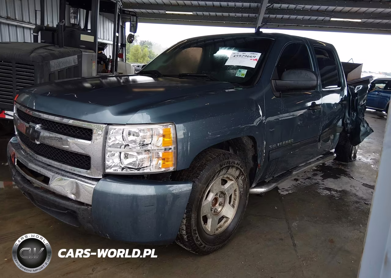 2009 Chevrolet Silverado 1500 Ls VIN:3GCEC13CX9G282455 - 2