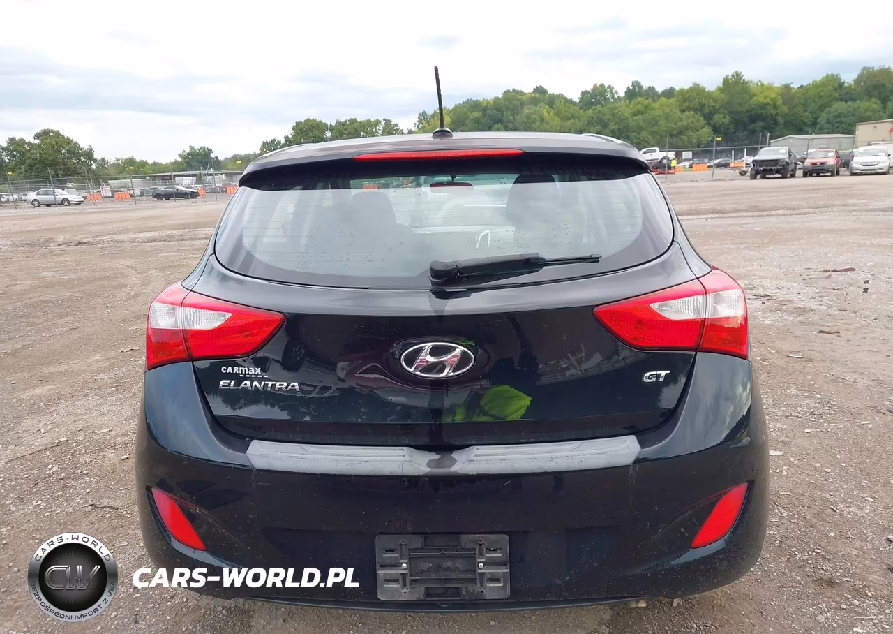 2016 Hyundai Elantra Gt VIN:KMHD35LH5GU263834 - 16