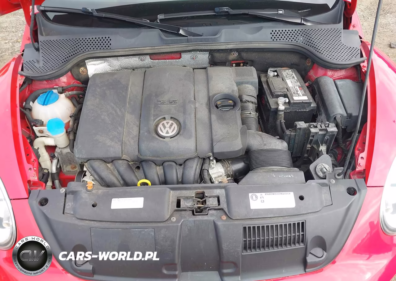 2013 Volkswagen Beetle 2.5L VIN:3VWJP7AT3DM680316 - 10