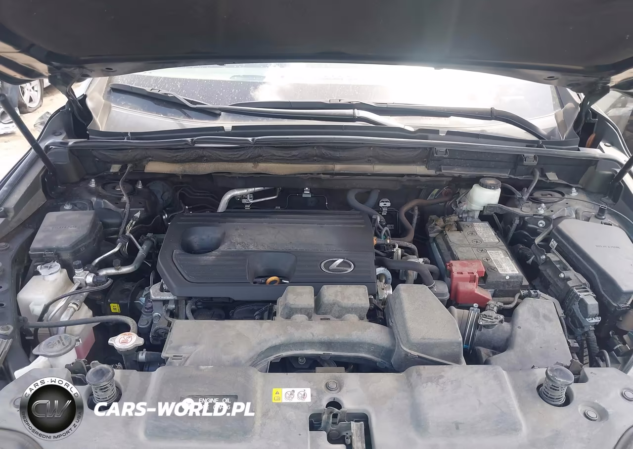 2022 Lexus Nx 250 VIN:2T2ADCAZXNC001091 - 10