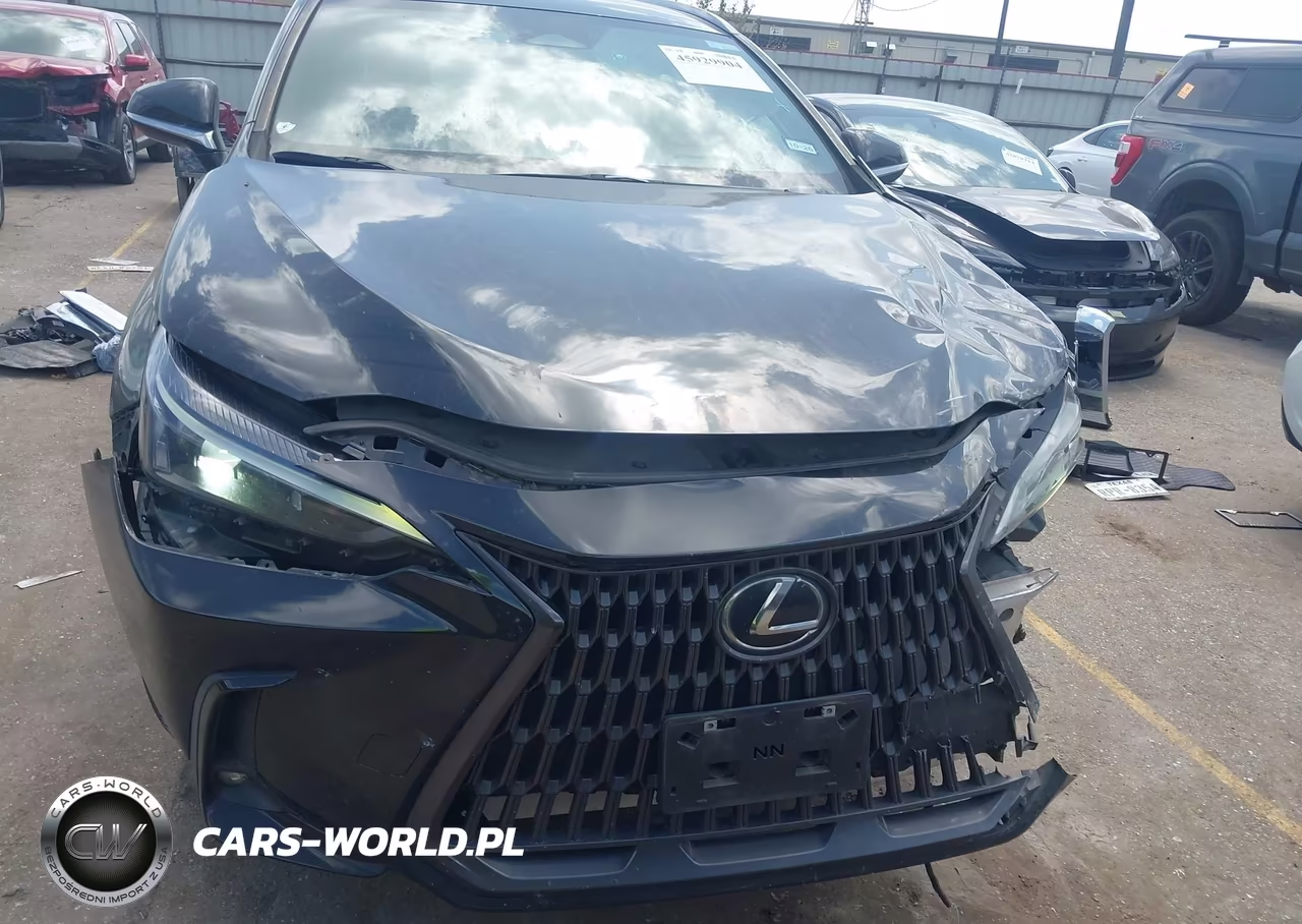 2022 Lexus Nx 250 VIN:2T2ADCAZXNC001091 - 13