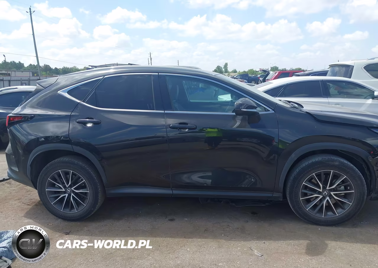 2022 Lexus Nx 250 VIN:2T2ADCAZXNC001091 - 14