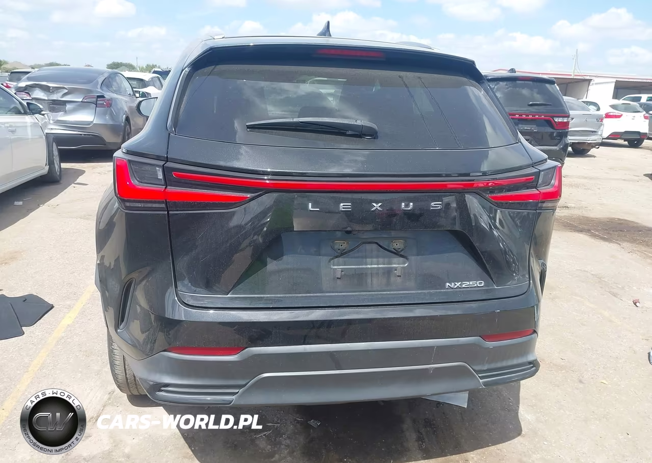 2022 Lexus Nx 250 VIN:2T2ADCAZXNC001091 - 17