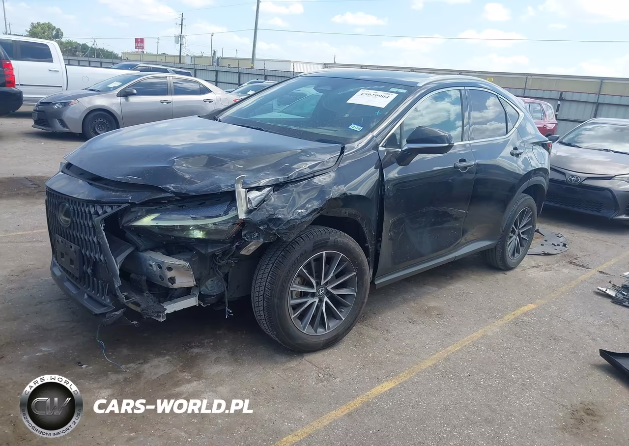 2022 Lexus Nx 250 VIN:2T2ADCAZXNC001091 - 2