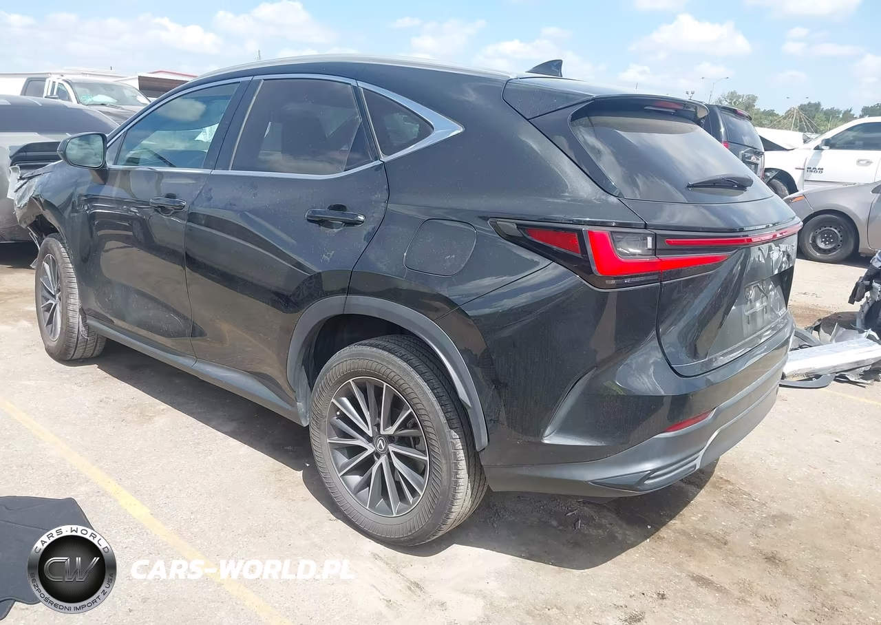 2022 Lexus Nx 250 VIN:2T2ADCAZXNC001091 - 3