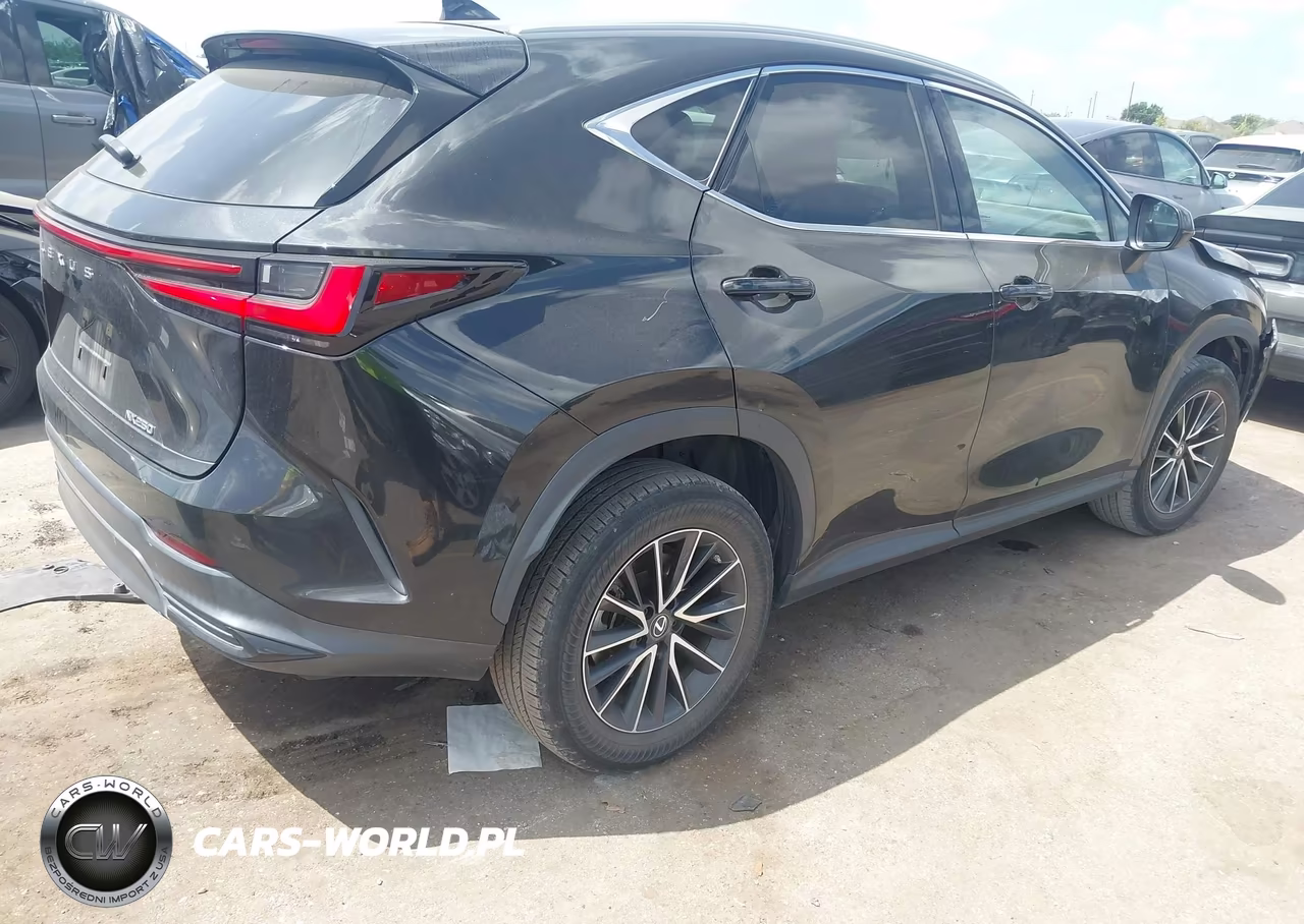 2022 Lexus Nx 250 VIN:2T2ADCAZXNC001091 - 4