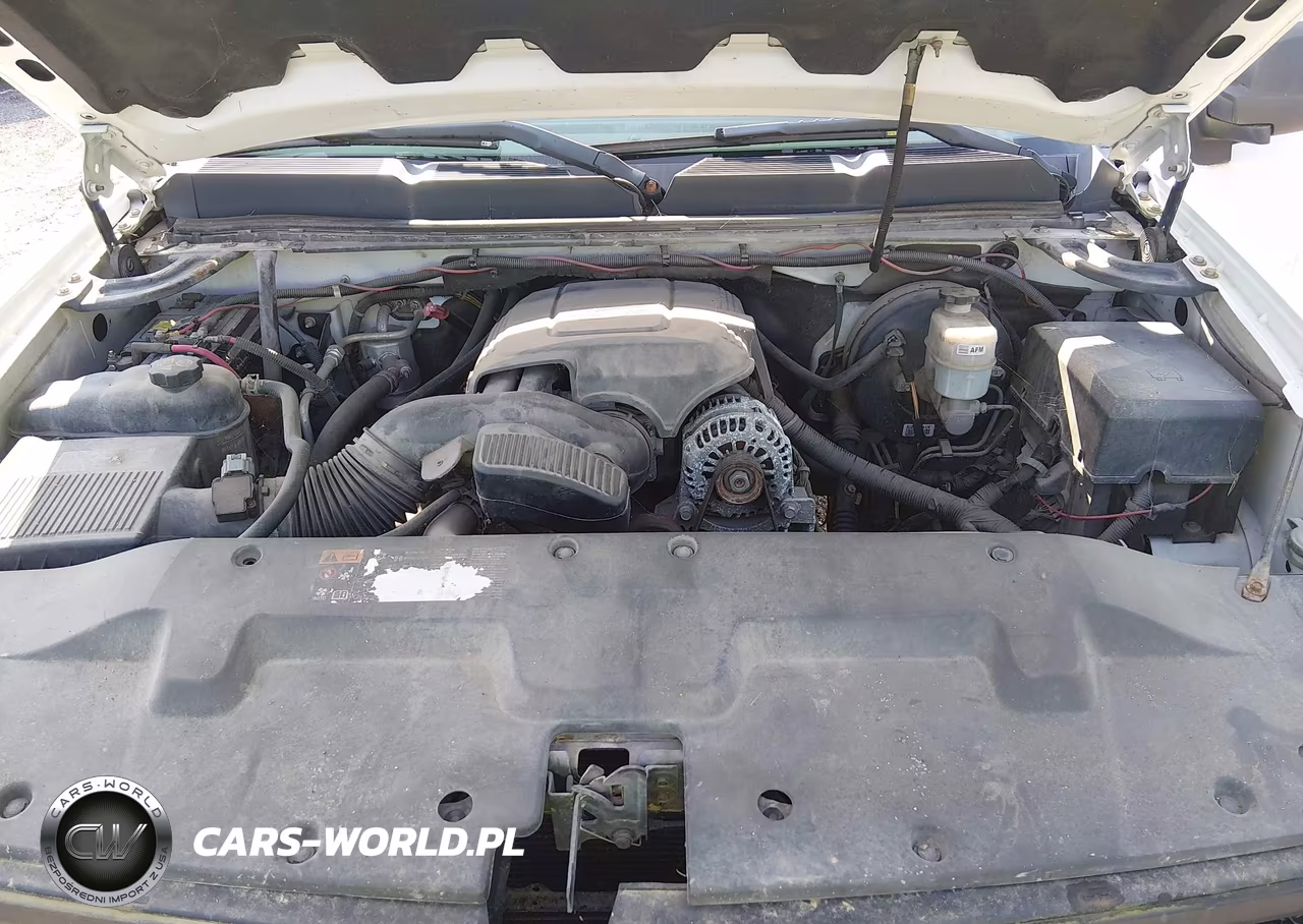 2012 Chevrolet Silverado 1500 Work Truck VIN:1GCNCPEA0CZ124826 - 10