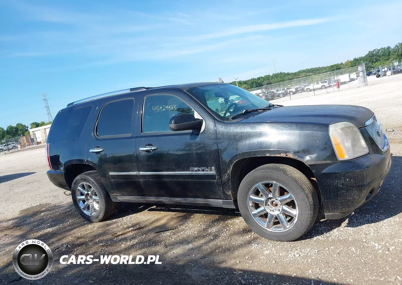 2009 GMC Yukon Denali Denali VIN:1GKFK03219J107944 - 12