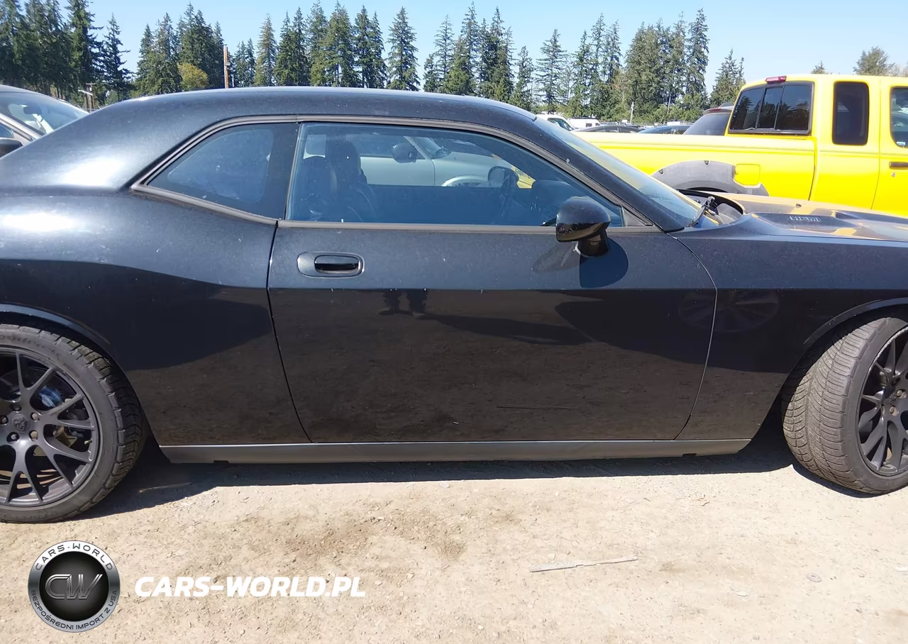 2009 Dodge Challenger R-T VIN:2B3LJ54T69H547120 - 13