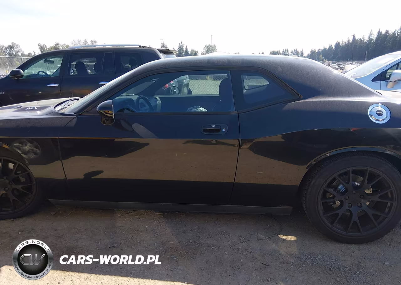 2009 Dodge Challenger R-T VIN:2B3LJ54T69H547120 - 14